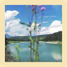 Il lago di Coredo