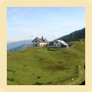 Malga Bodrina - Vigo di Ton