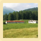 Malga Arza - Cunevo