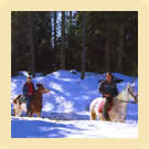 A cavallo nei boschi di Coredo