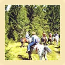A cavallo nei boschi di Coredo